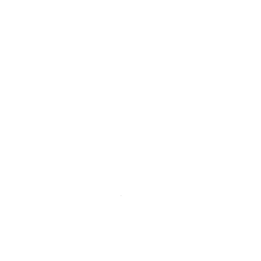 Worn Eagle Junk Removal